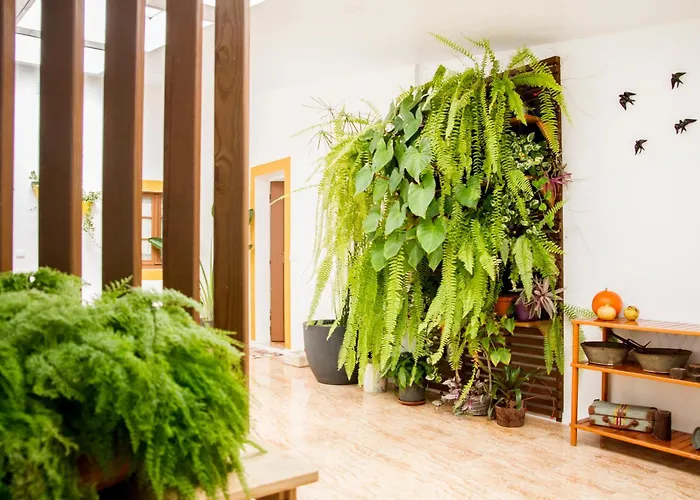 Casa Da Avo Guilhermina Feriehus